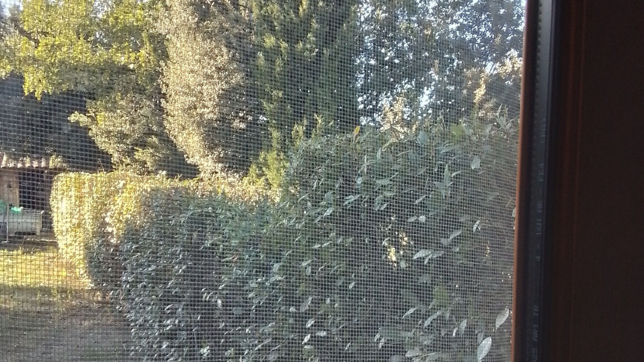 Photo of Others in Eyragues