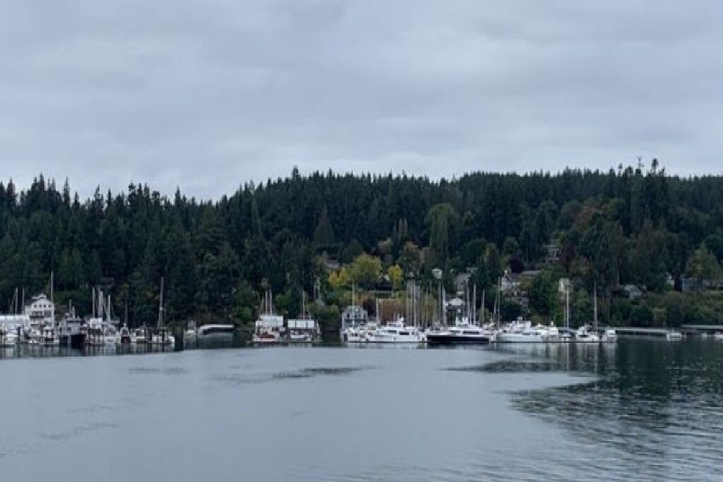 Photo of Others in Adelma Beach