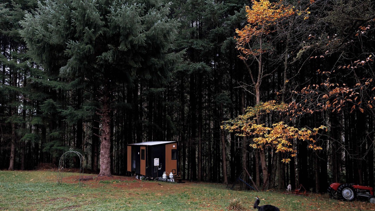 Photo of Outdoor in Noojee