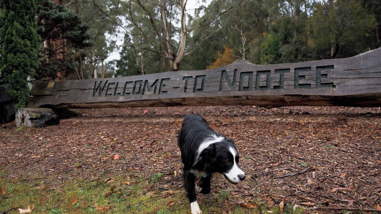 Photo of Outdoor in Noojee