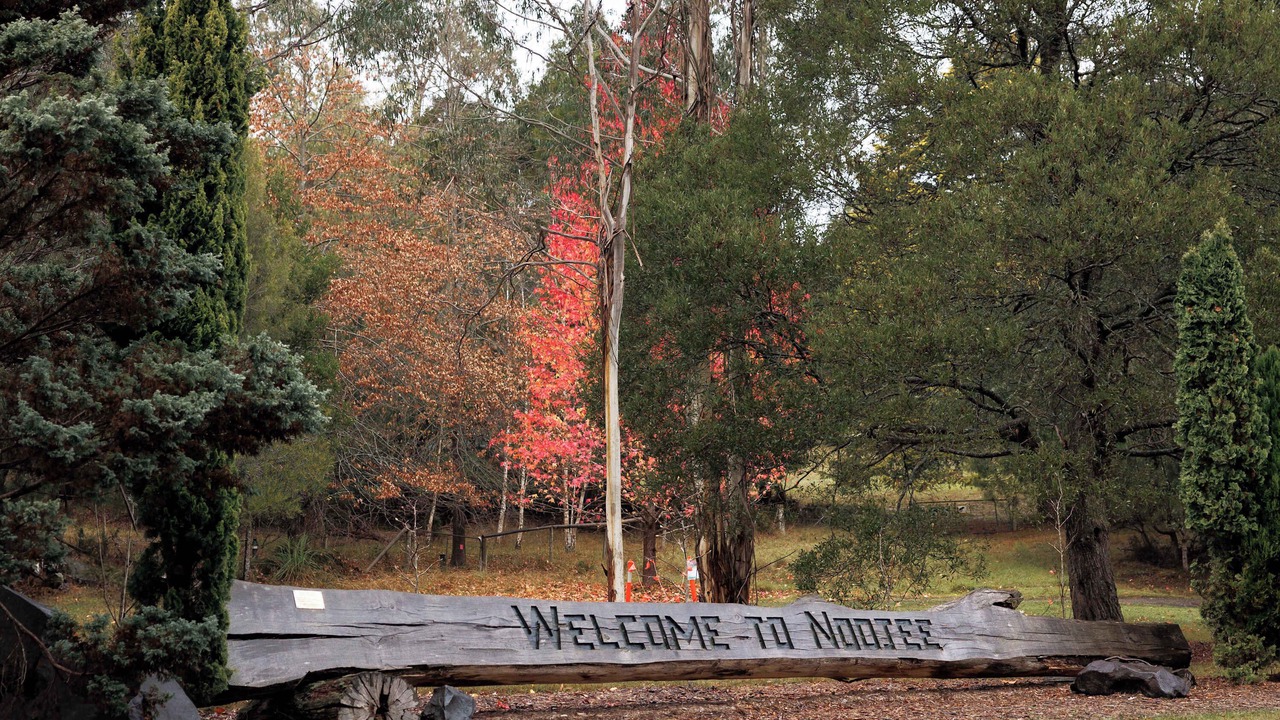 Photo of Others in Noojee