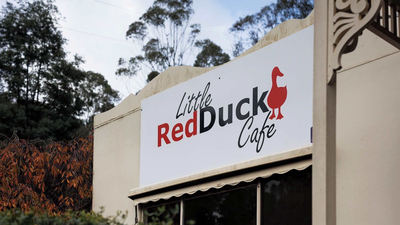 Photo of Outdoor in Noojee