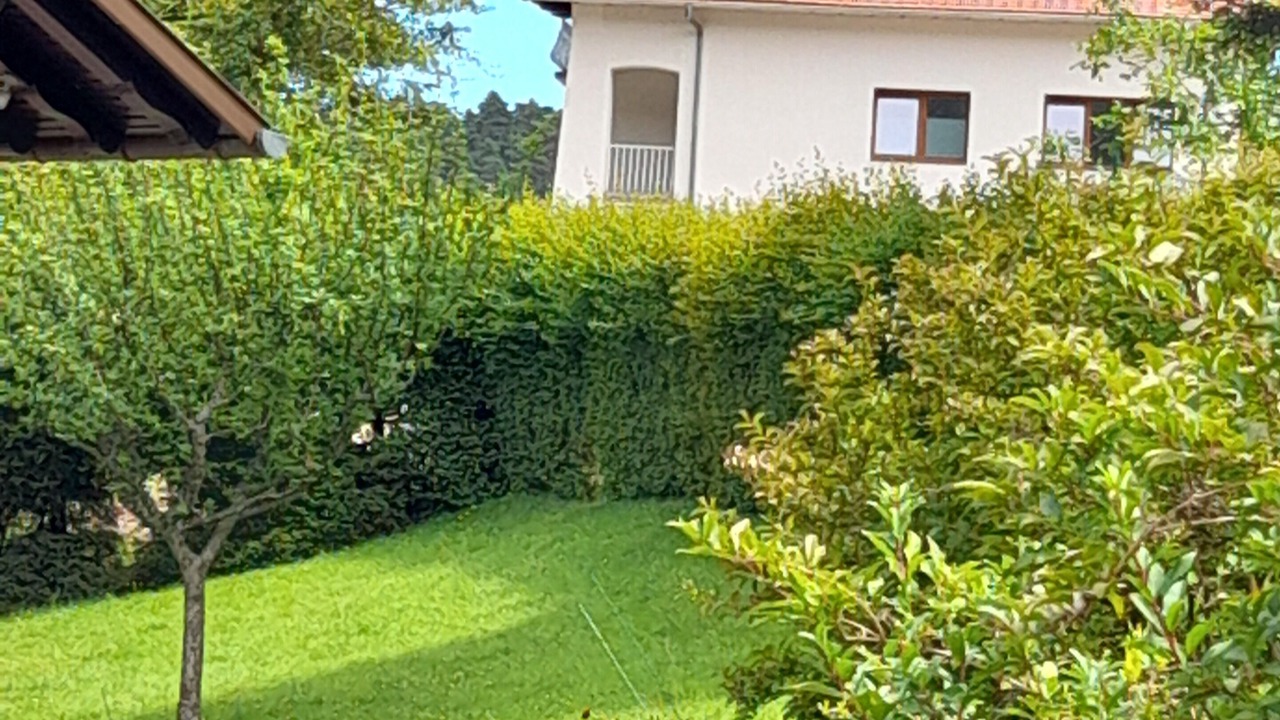 Photo of Outdoor in Wangenbourg-Engenthal