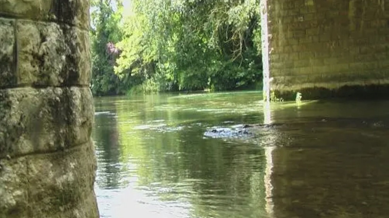 Photo of Others in Dienville