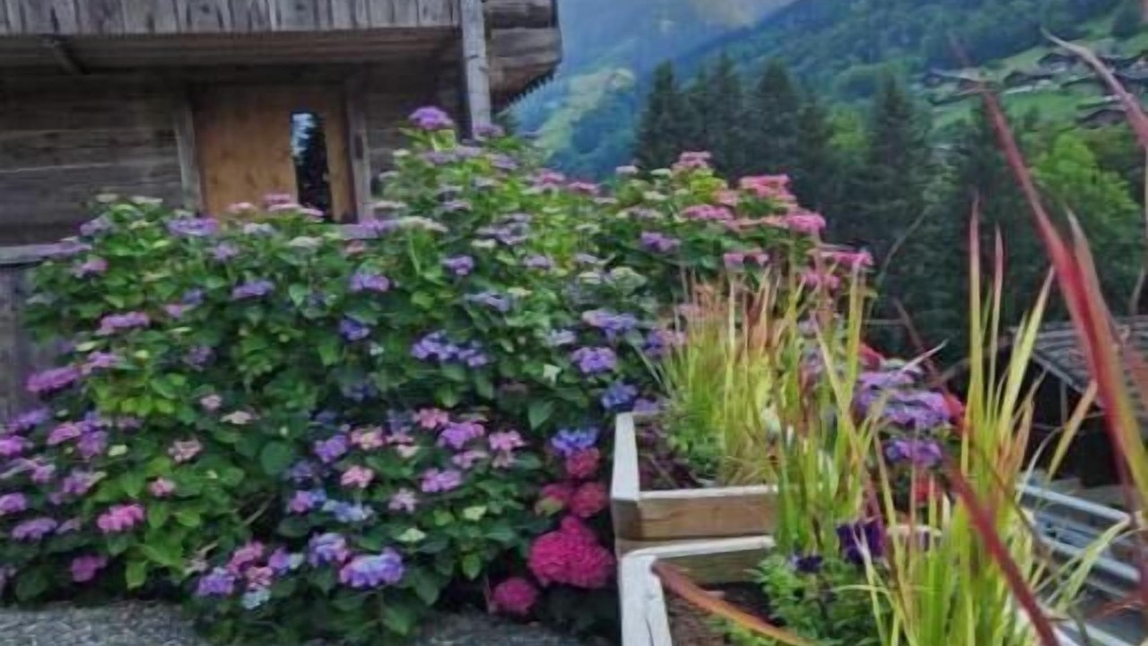 Photo of Outdoor in Troistorrents