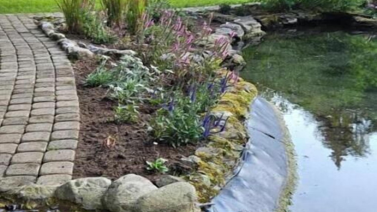 Photo of Outdoor in Troistorrents