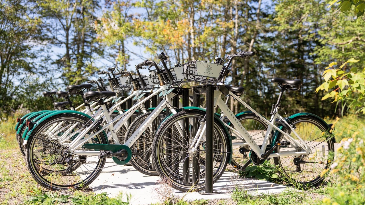 Photo of Others in Kings County