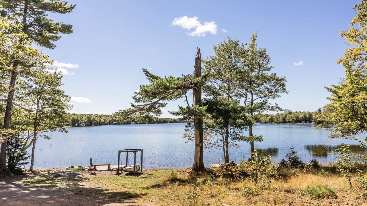 Photo of Others in Kings County