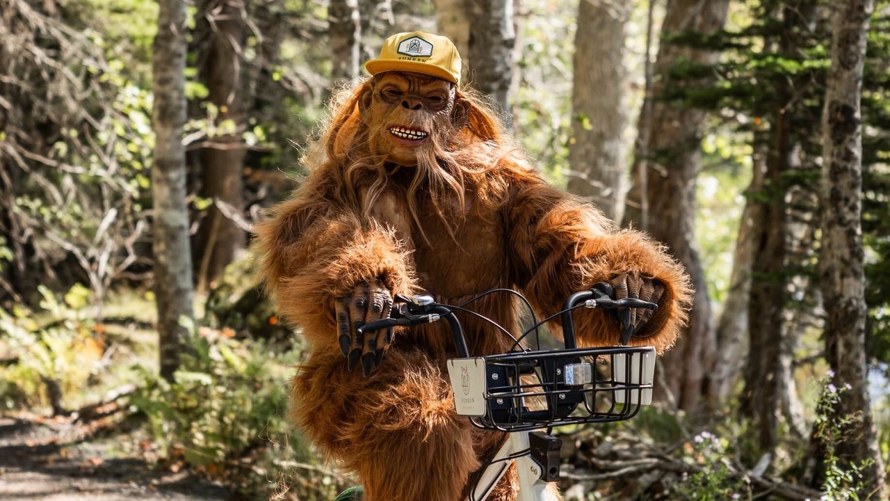 Photo of Others in Kings County