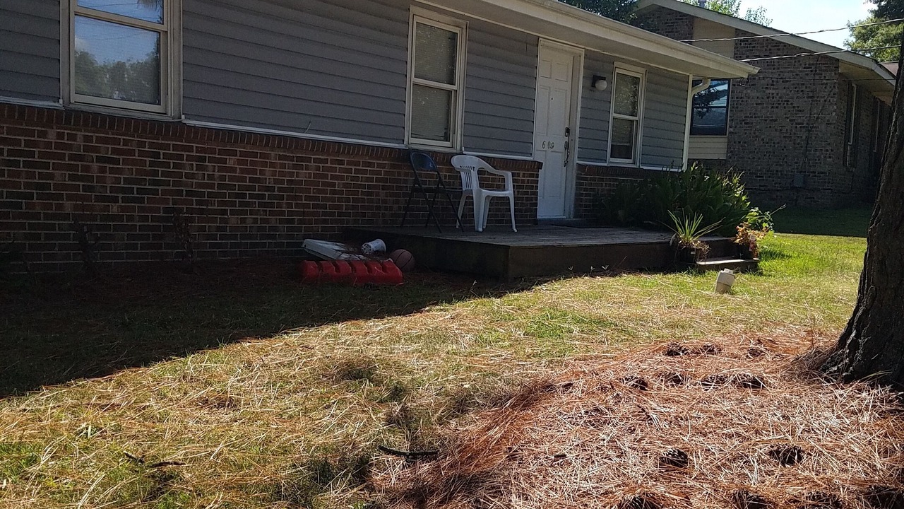 Photo of Outdoor in Southeast Raleigh