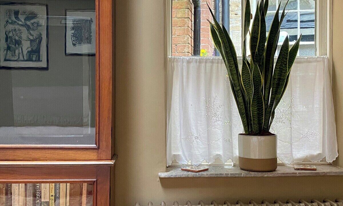 Photo of Others in Frome