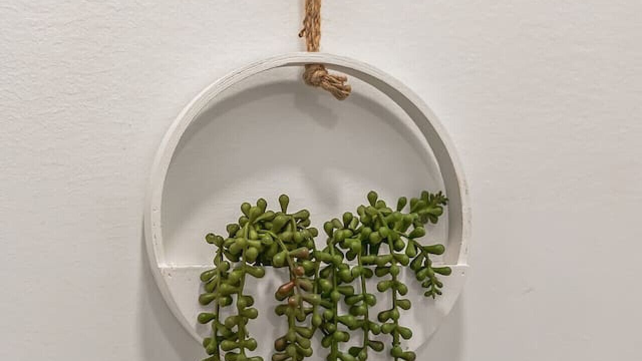 Photo of Others in Center City