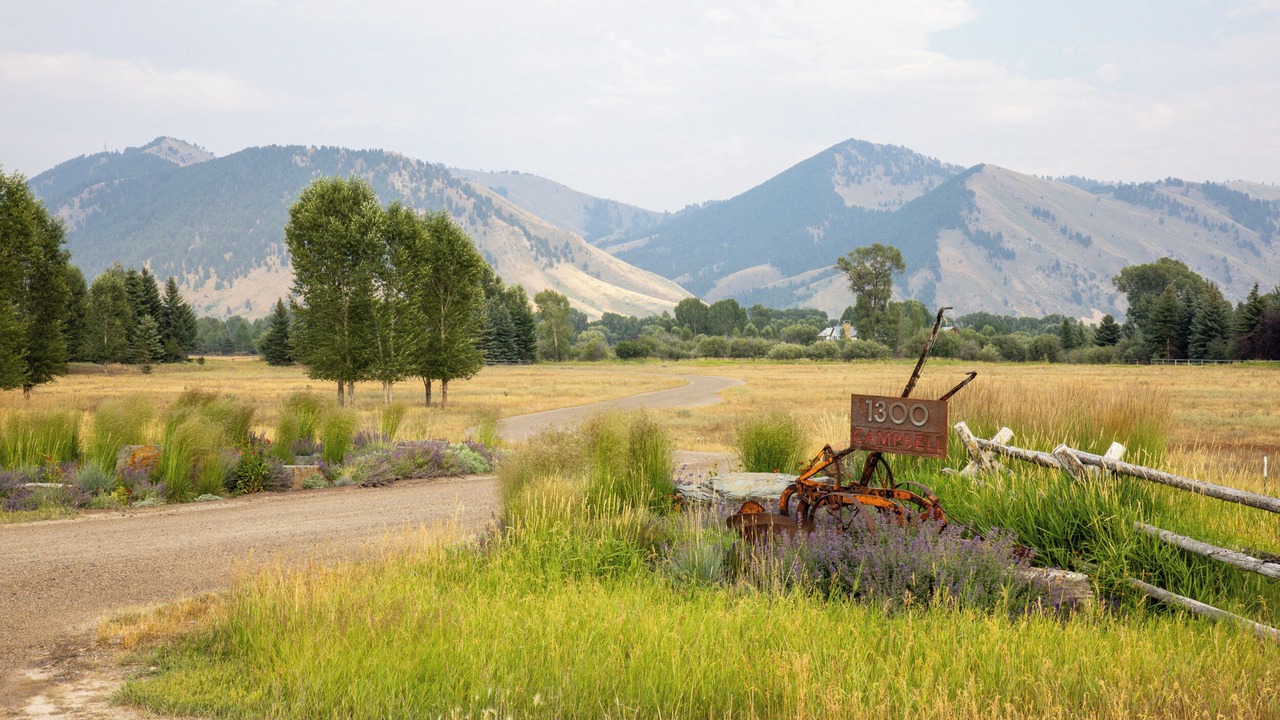 Photo of Others in South Park