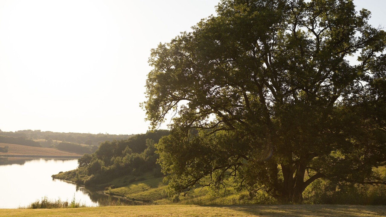 Photo of Others in Peyrusse-Grande
