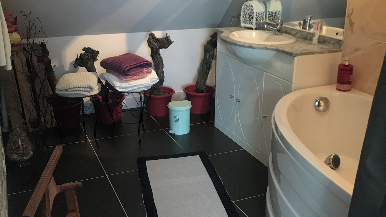 Photo of Bathroom in Checy