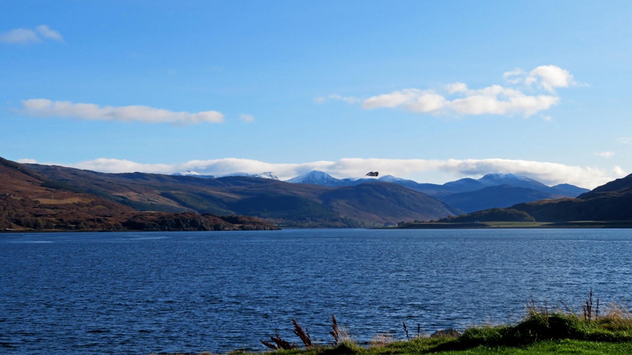 Photo of Others in Ullapool
