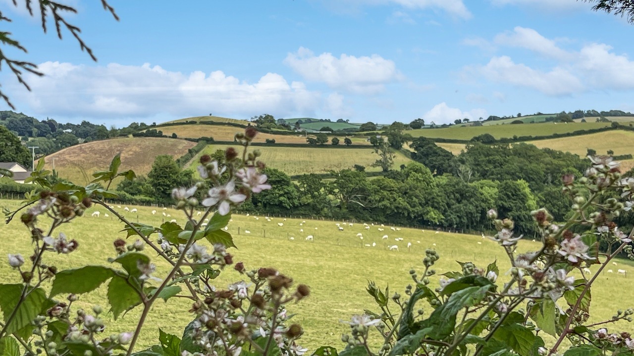 Photo of Others in Swimbridge