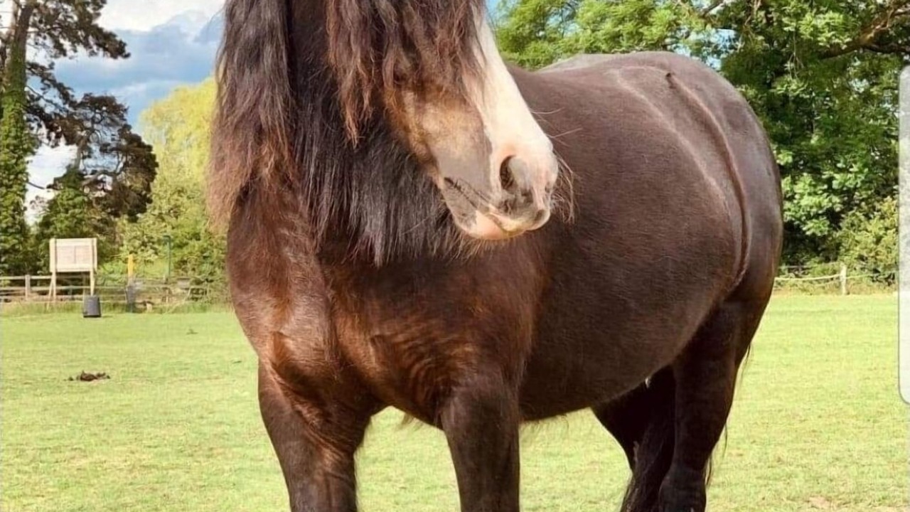 Photo of Others in Mablethorpe