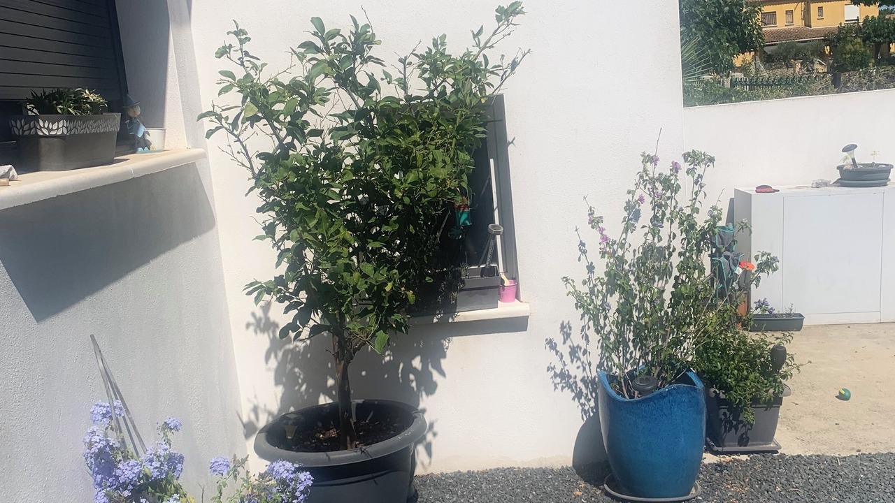 Photo of Outdoor in Lunel-Viel