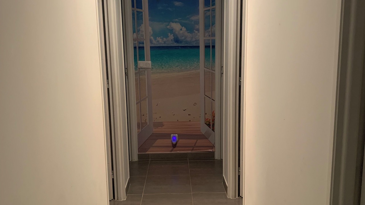 Photo of Others in Lunel-Viel