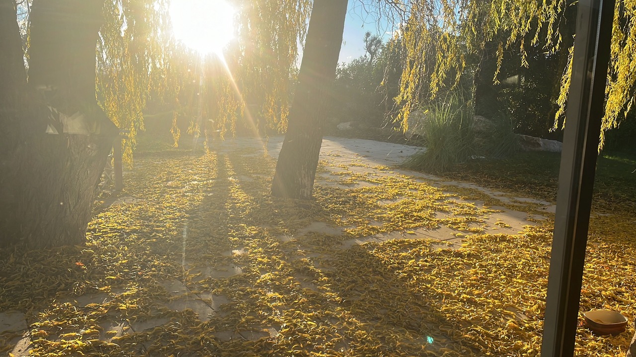 Photo of Outdoor in Jonquieres