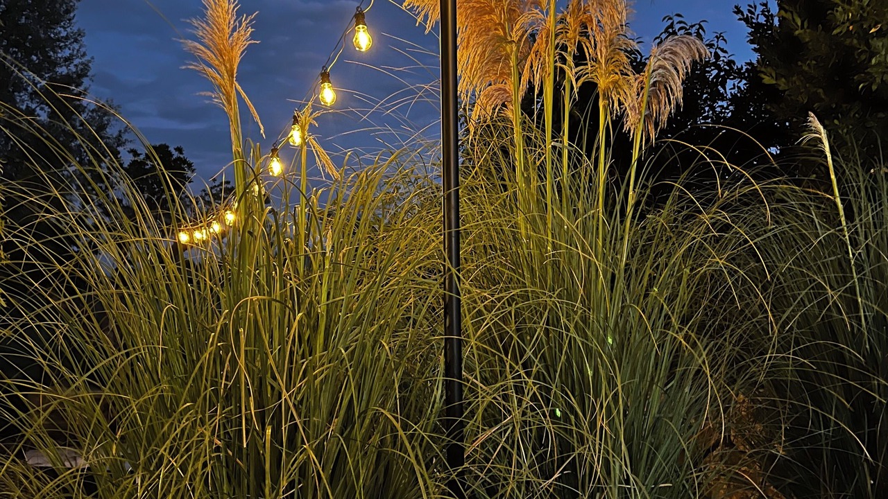 Photo of Outdoor in Jonquieres