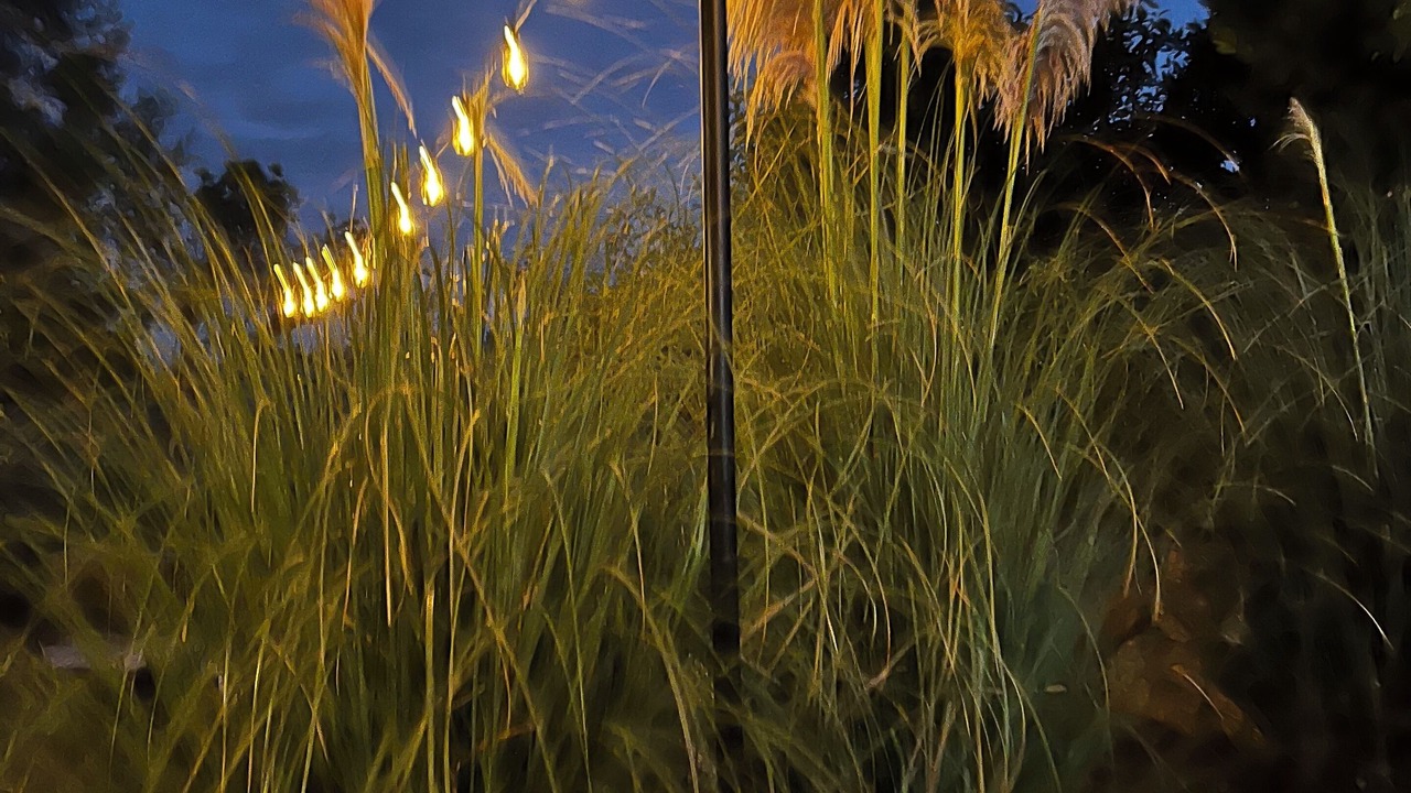 Photo of Outdoor in Jonquieres