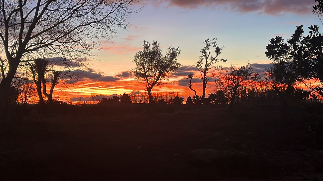 Photo of Others in Jonquieres