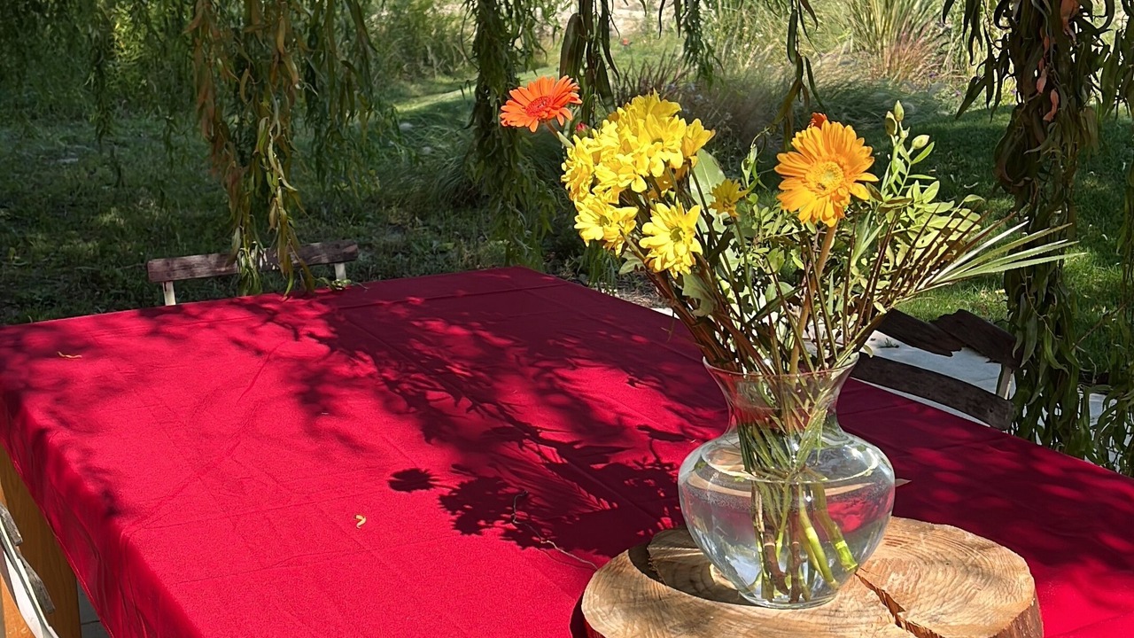 Photo of Outdoor in Jonquieres