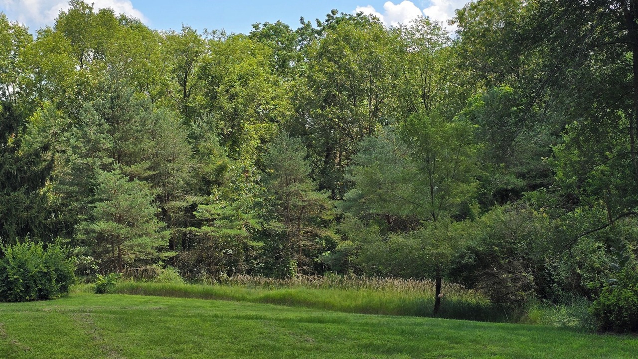Photo of Others in Middleville