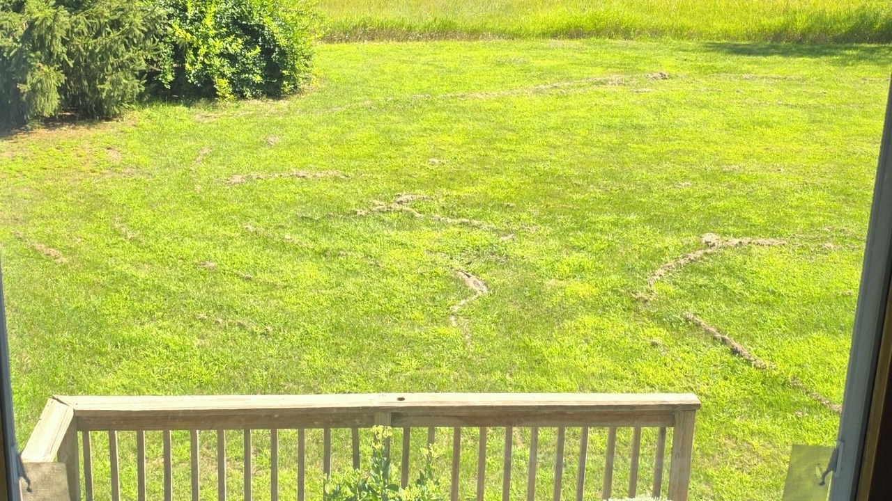 Photo of Others in Middleville