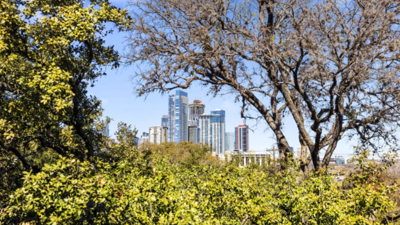 Photo of Others in Travis Heights