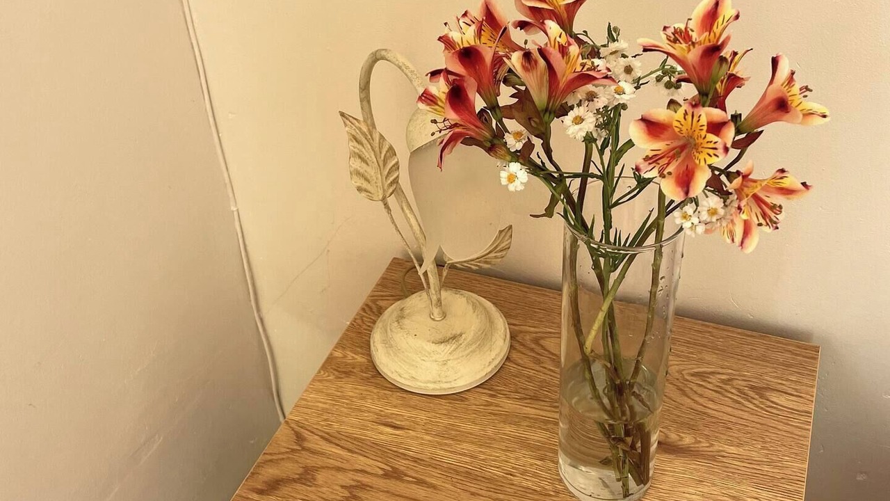 Photo of Others in Cahors Old Town