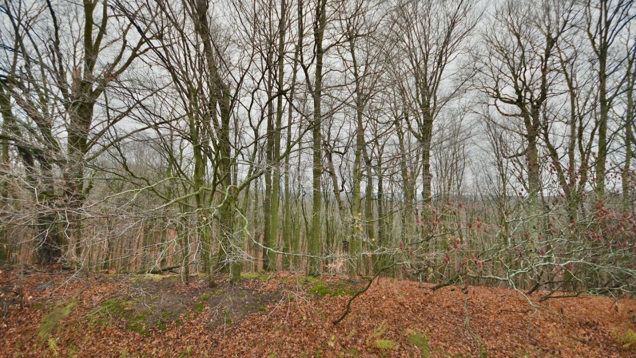 Photo of Others in Oro-Medonte