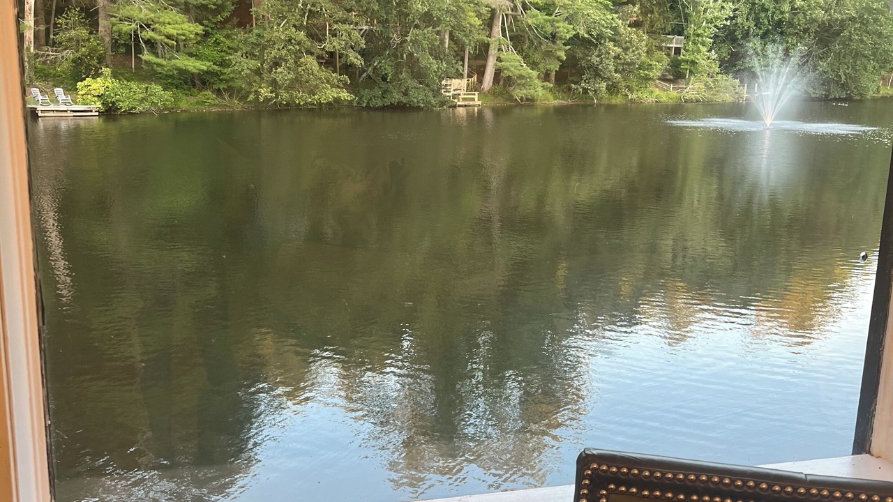 Photo of Others in Flat Rock