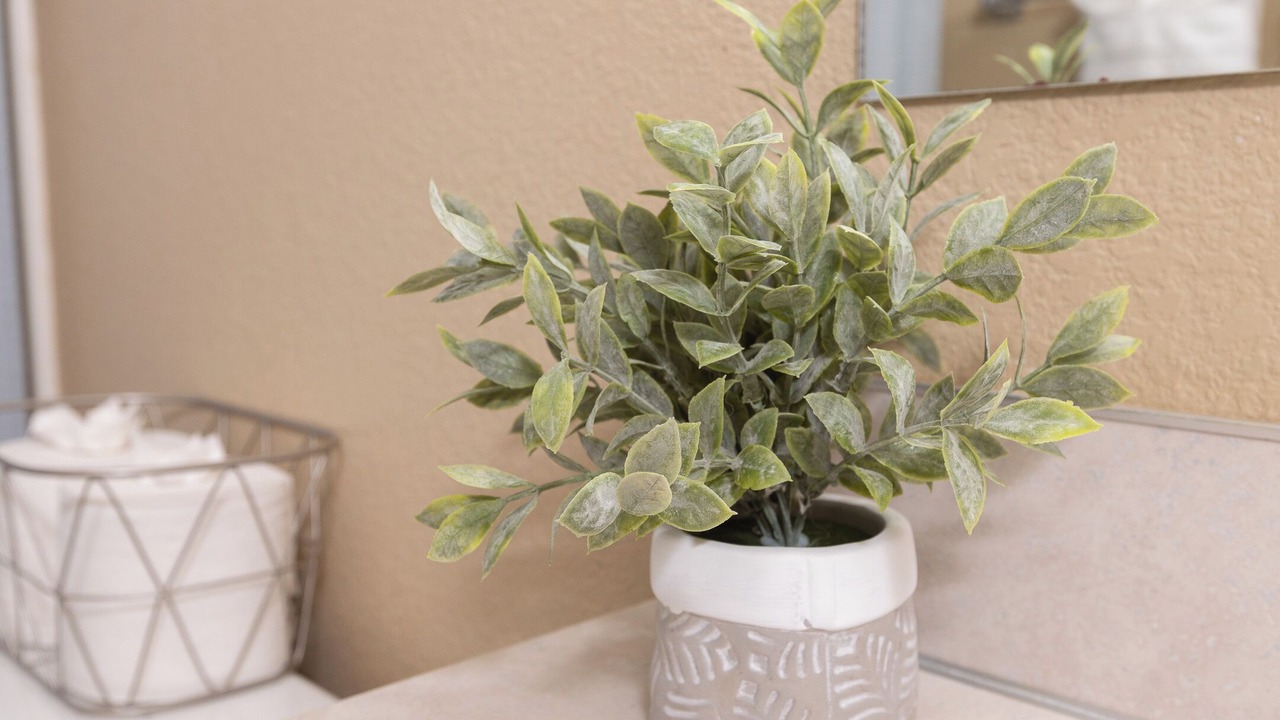 Photo of Others in Veterans Park