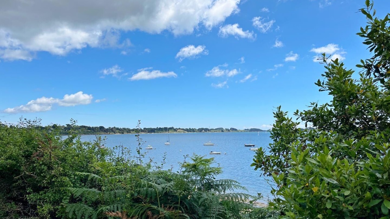 Photo of Others in Baden