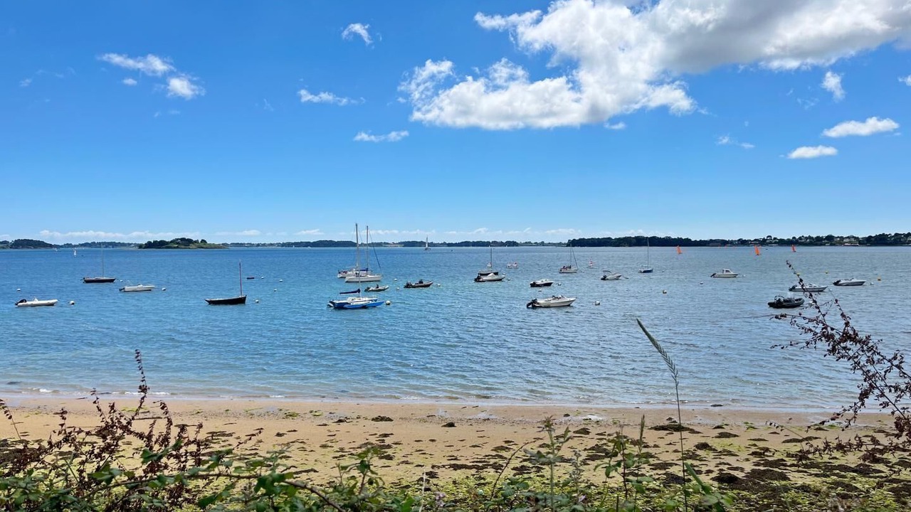 Photo of Others in Baden