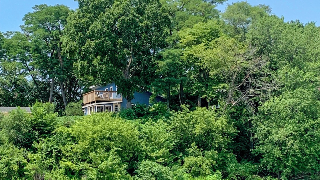 Photo of Outdoor in Bellevue