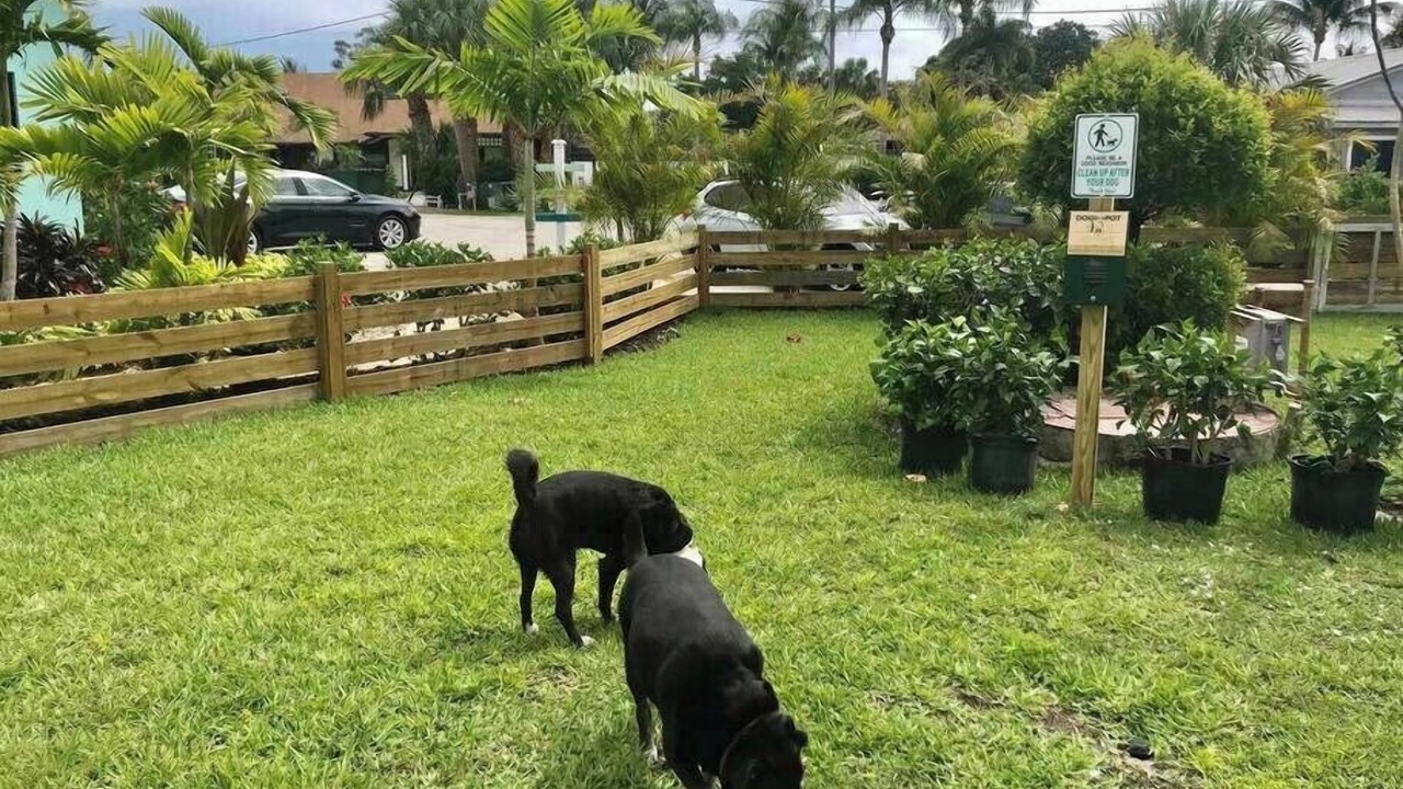 Photo of Others in Stuart