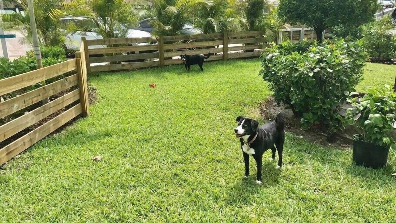 Photo of Others in Stuart