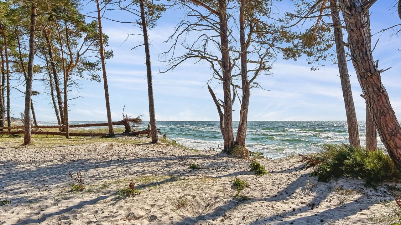 Photo of Outdoor in Spidsegard