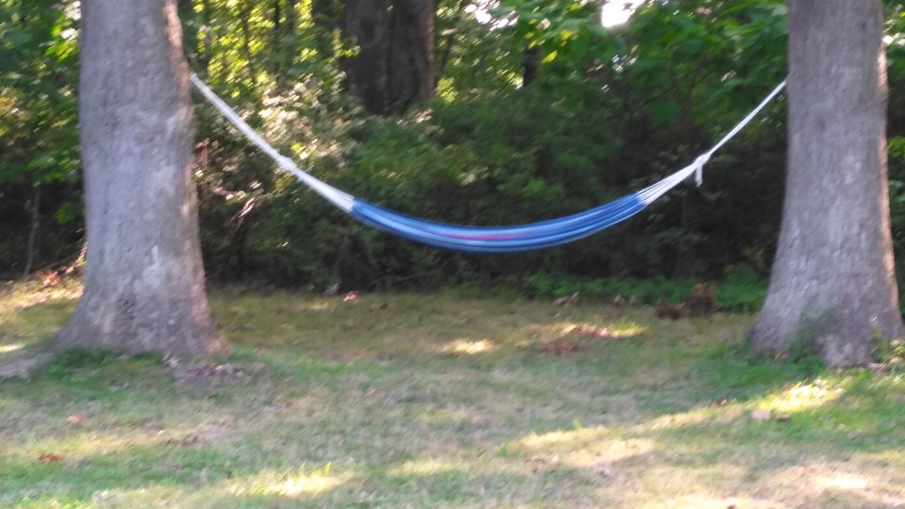 Photo of Others in Wayland