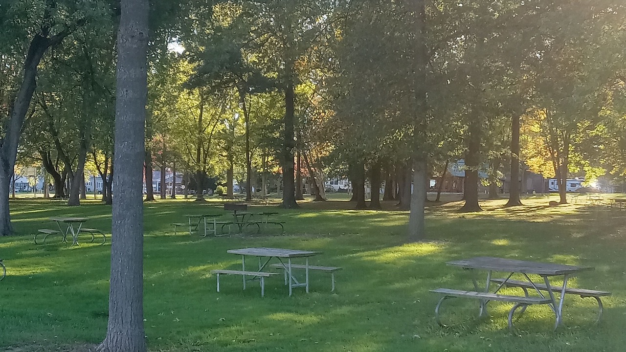 Photo of Others in Wayland