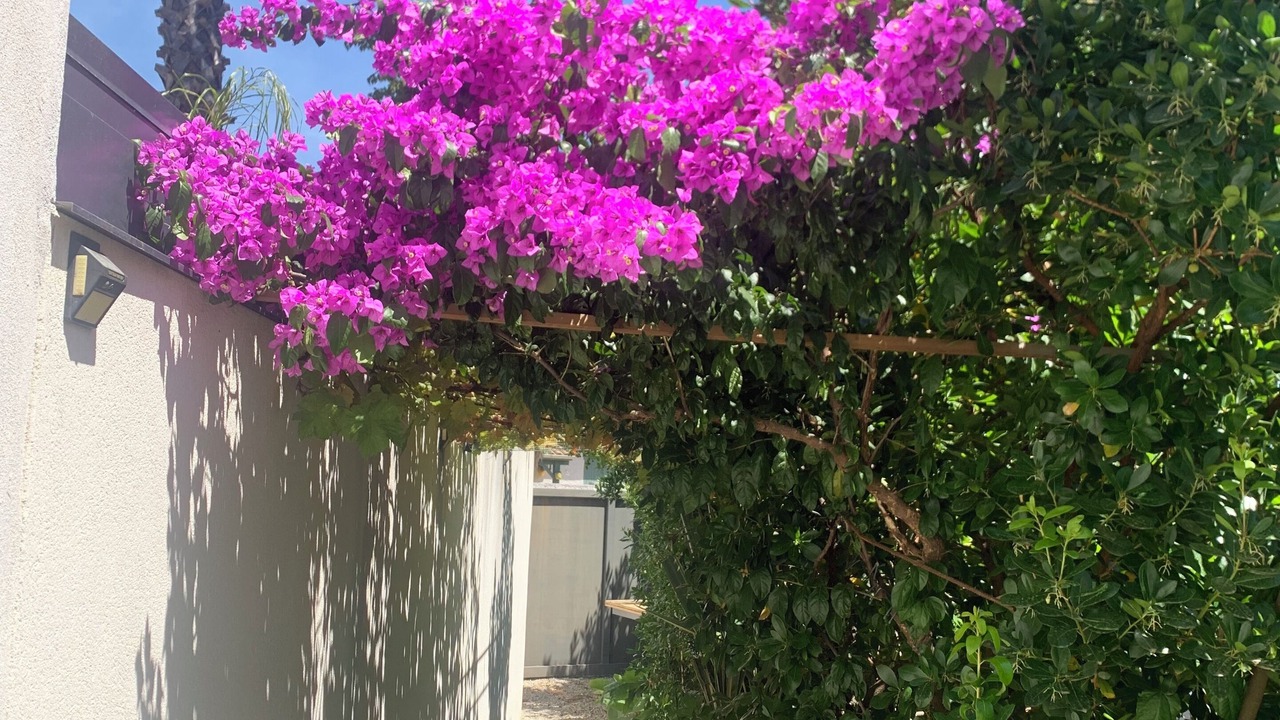 Photo of Outdoor in Lattes