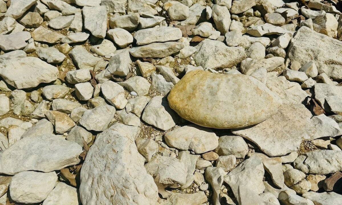 Photo of Others in Pottsboro