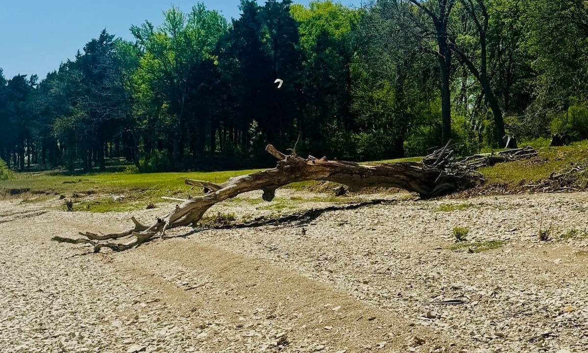 Photo of Others in Pottsboro