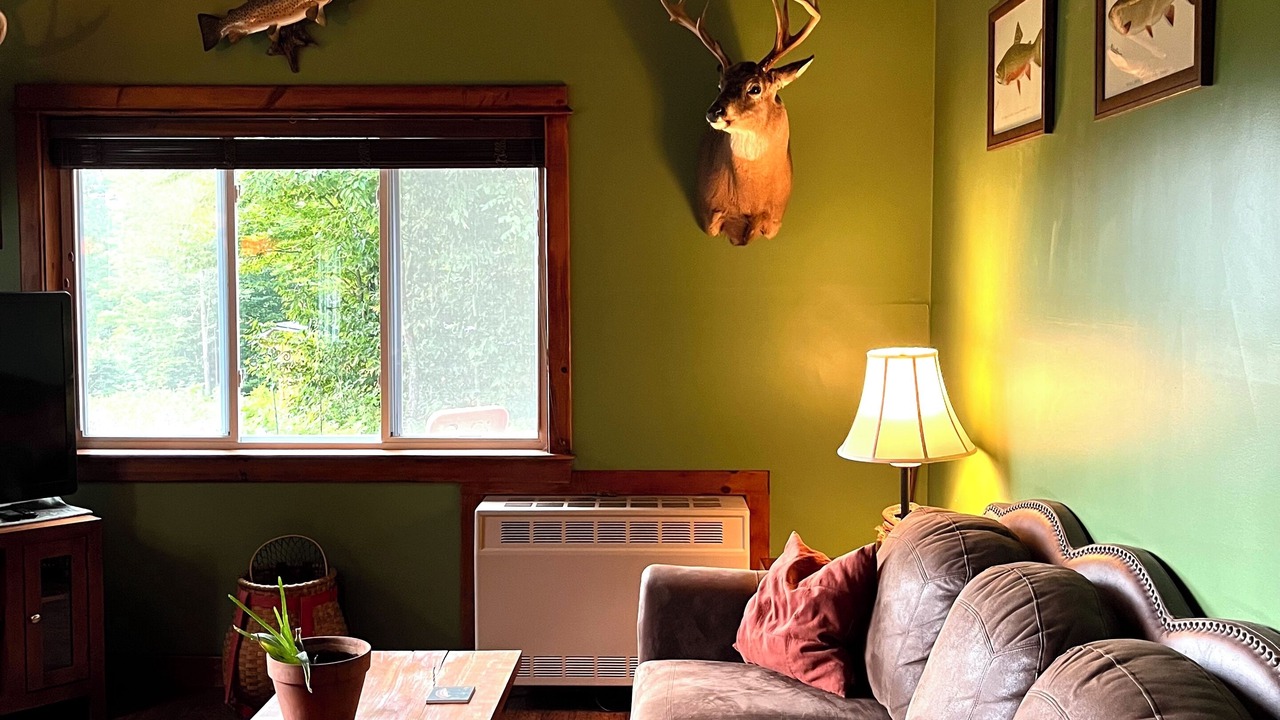 Photo of Livingroom in Long Lake