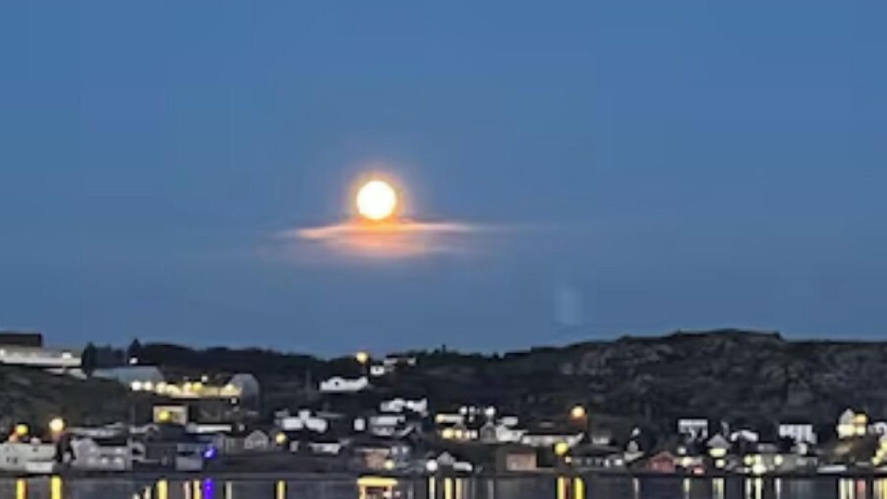 Photo of Outdoor in Twillingate