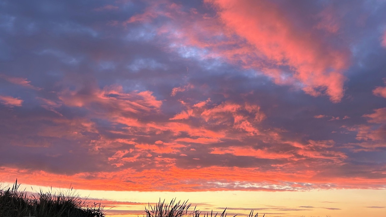 Photo of Others in Harboore
